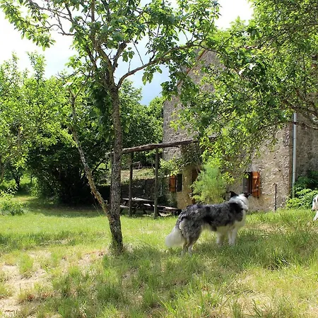 בית נופש Maison De Vignes De Tournemire *