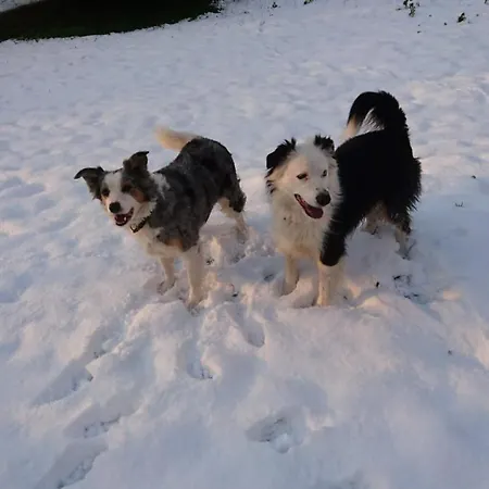 Maison De Vignes De Tournemire *