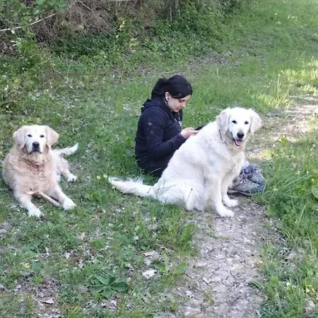 Hébergement de vacances Maison De Vignes De Tournemire *