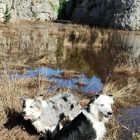Maison De Vignes De Tournemire * Tournemire (Aveyron)
