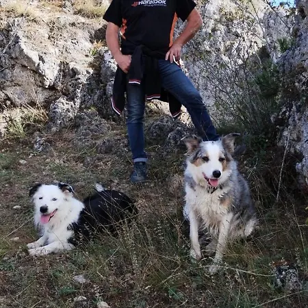 Maison De Vignes De Tournemire Hébergement de vacances Tournemire (Aveyron)