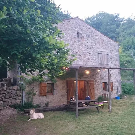 Maison De Vignes De Tournemire * Tournemire (Aveyron)