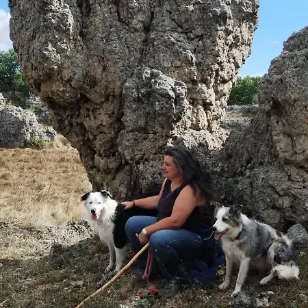 Hébergement de vacances Maison De Vignes De Tournemire