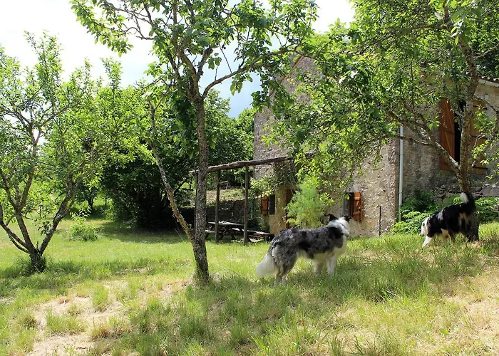 Dom wakacyjny Maison De Vignes De Tournemire *