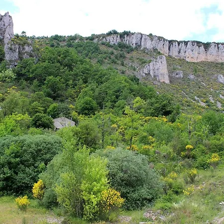 Maison De Vignes De Tournemire Tournemire (Aveyron)