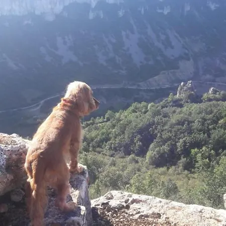 Casa vacanze Maison De Vignes De Tournemire *