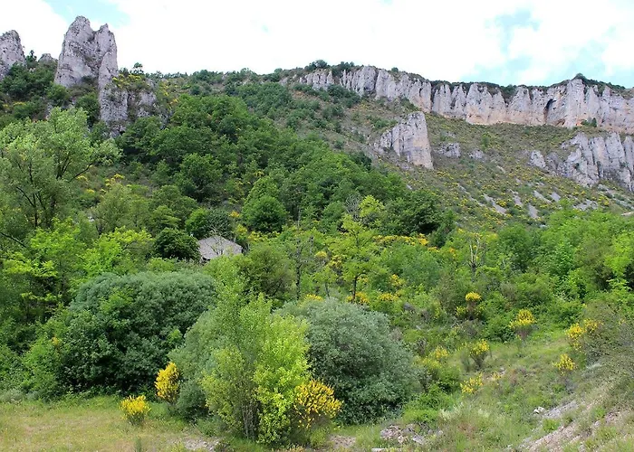 Maison De Vignes De Tournemire Tournemire (Aveyron)